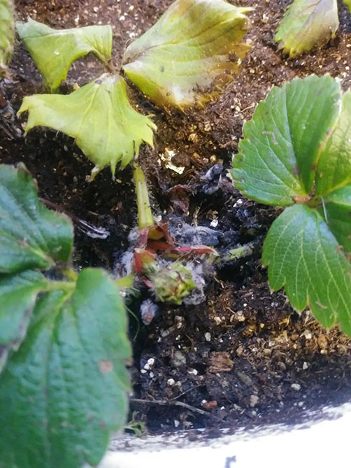 2022111816687373381008585892.jpg 微信圖片_20221118100139.jpg